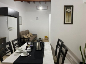 Departamento céntrico caminos del vino Godoy Cruz